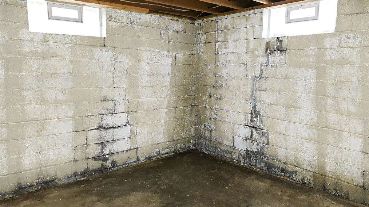 Basement wall with a damp stain and white efflorescence along the bottom near the floor